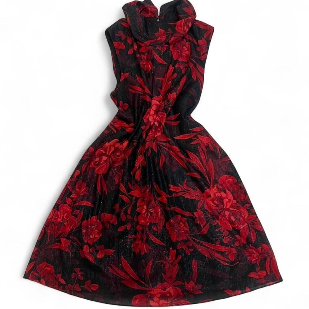 Sheer Black & Red Floral Dress – Romantic Gothic Y2K